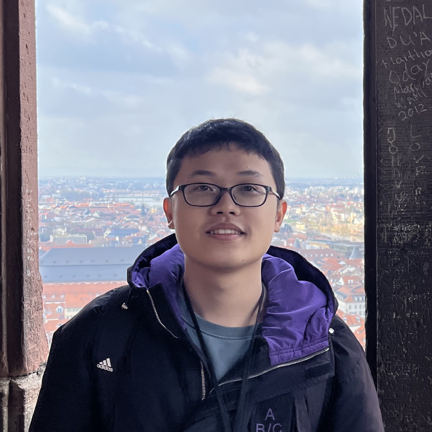 Luyi Han